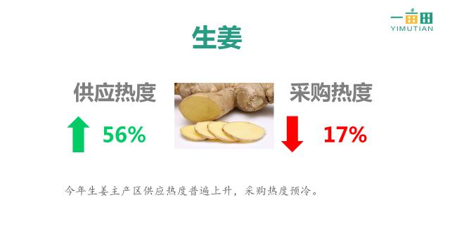 姜价格最新行情-姜价实时动态