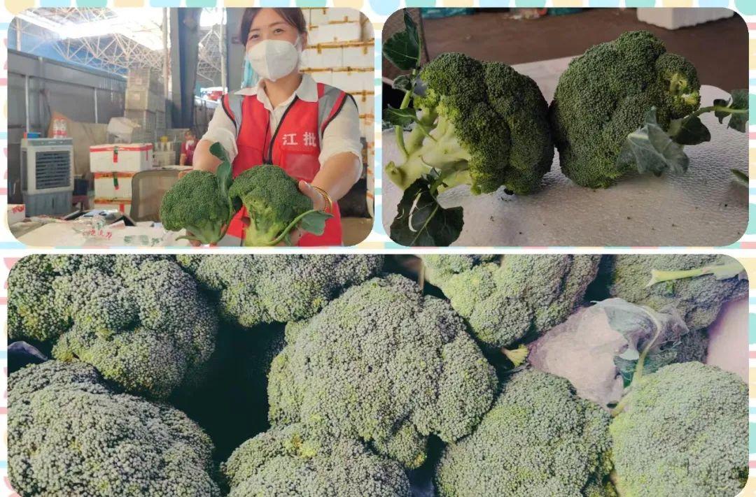 豆角价格最新行情走势：豆角市价动态走势