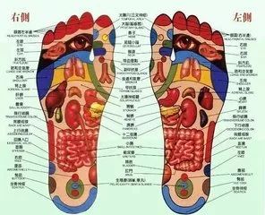 全新发布：足部反射区高清图谱解析，揭秘人体健康奥秘！